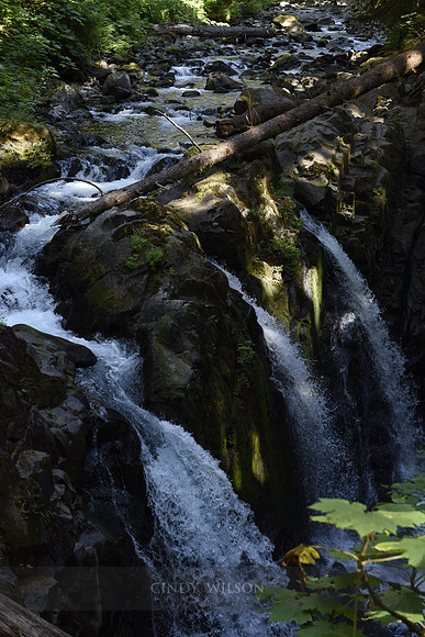 Solduc Falls, WA