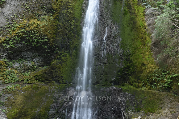 Marymere Falls, WA