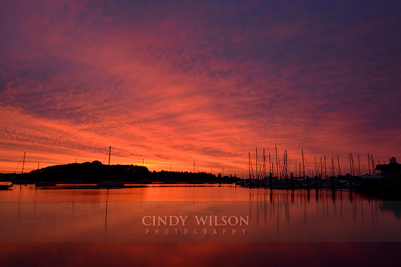 Red Sky in Morning, Wickford