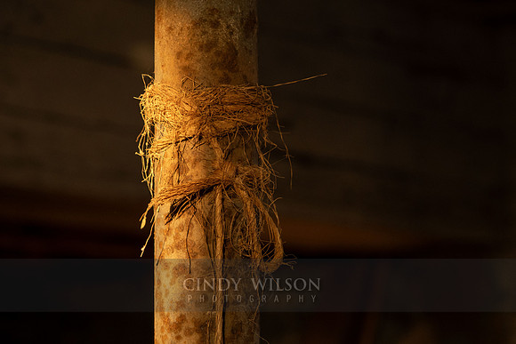 Woven Line