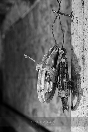 Line Reels