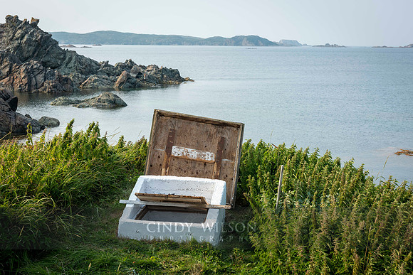 Subterranean Root Cellar, Twillingate