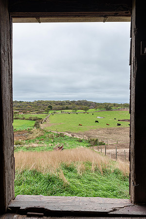 Window to the Pasture, Block Island
