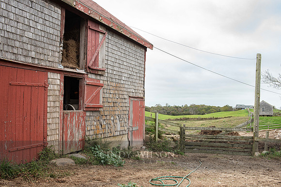 Barn, Sprague Farm, Block Island