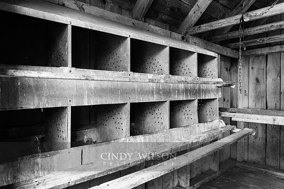 Chicken Coop Interior, Griswold,CT