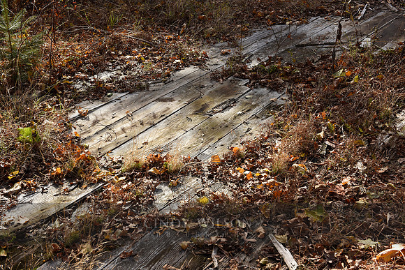 Columbia Narrows, Hope Valley, RI