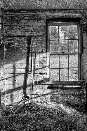 Light Fork