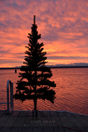 WYC Holiday Tree on the Dock, Wickford