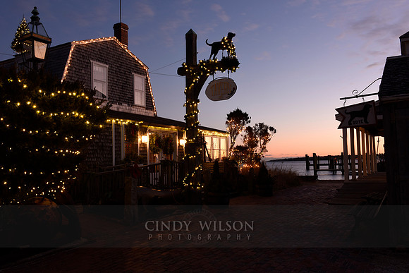Christmas Lights, Vineyard Haven