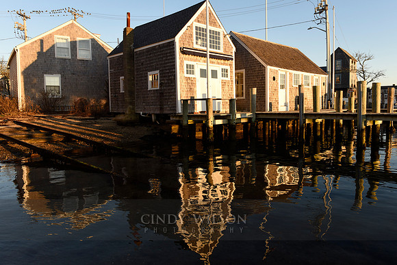 Edgartown Reflections
