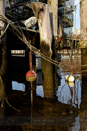 Pilings, Menemsha