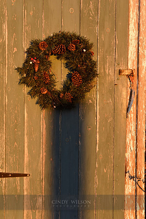 Wreath in a Golden Glow, Menemsha