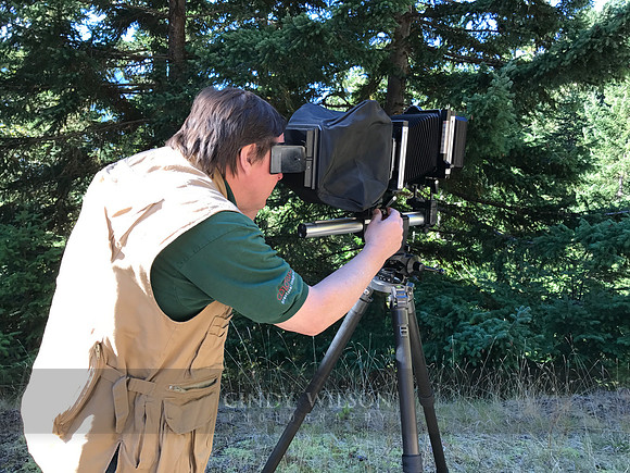 John, Hurricane Ridge, 2017