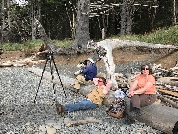 First Beach, Washington, 2017