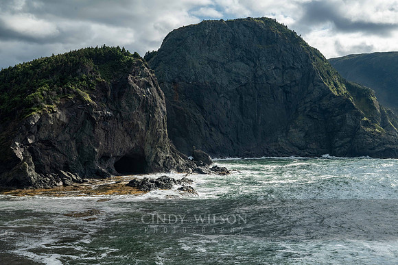 Blow Me Down, Bottle Cove, 2024
