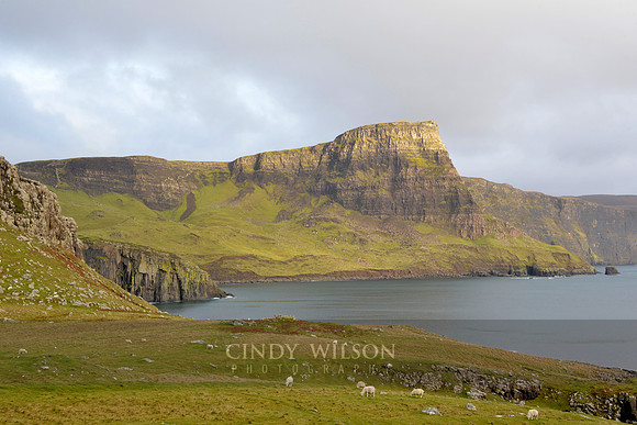 Headland, Neist Point, Scotland
