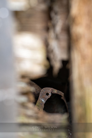 Duck in the Hole