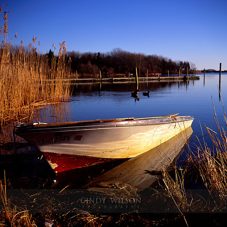Grounded in the Reeds