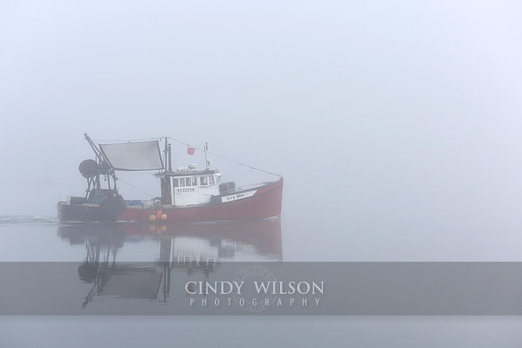 Lucy Rose Outbound in the Fog