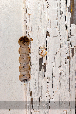 Caterpillar