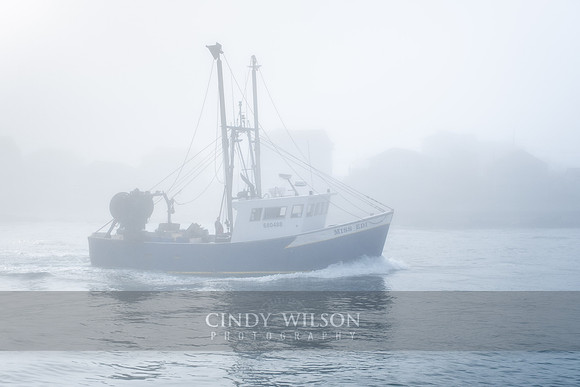 Miss Edi in the Fog