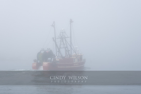 Cody in the Fog, Galilee