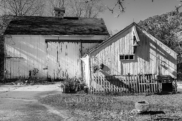 Pierce Farm Barn with Strong Shadows, Saunderstown
