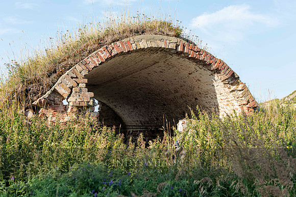 Root Cellar, Twillingate