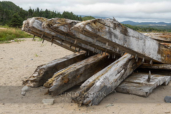 Jaw Bones, Cape Ray