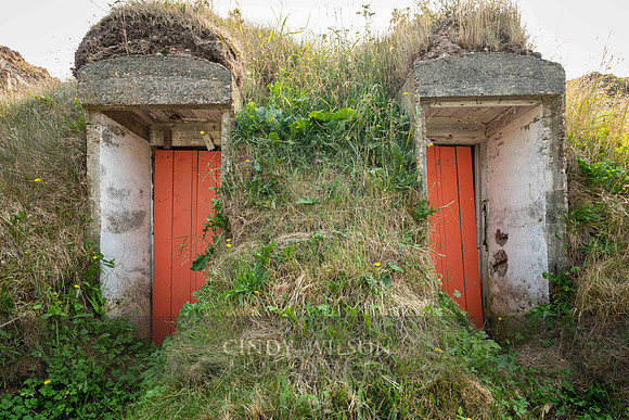 Twin Root Cellars, Twillingate