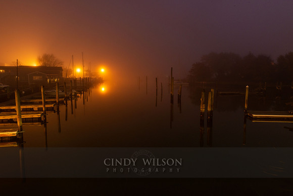 PreDawn Mist