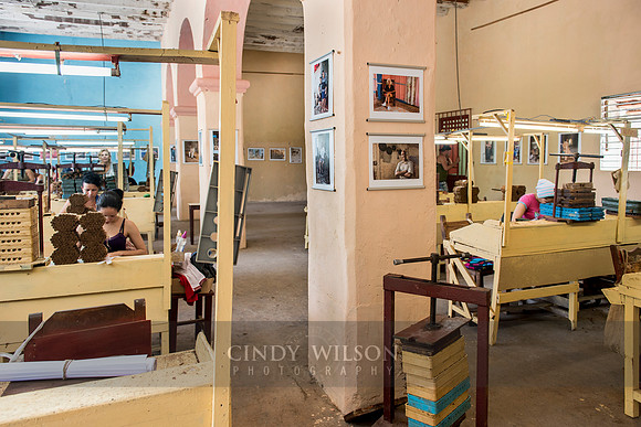 Installation in the Cigar factory