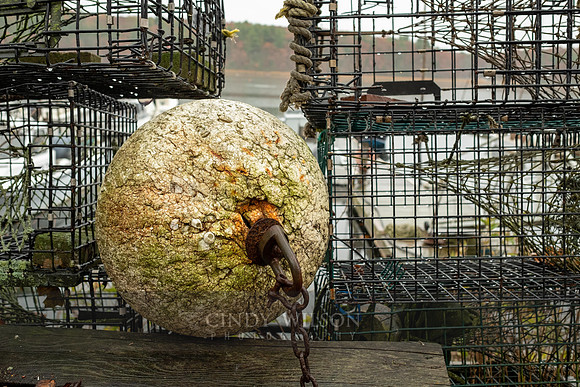 Textured Buoy, East Greenwich