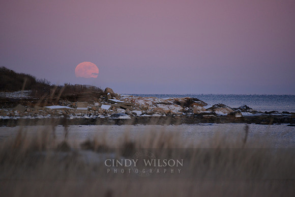 Scarborough Moonrise