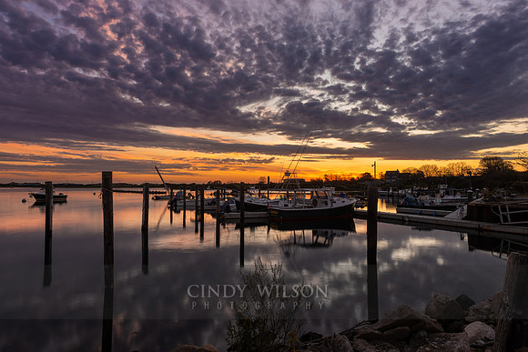 Sunrise Reflections, Hogpen