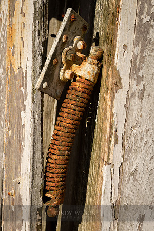 Caterpillar, Saunderstown