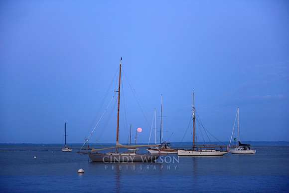 Classics Under the Full Moon, Wickford harbor