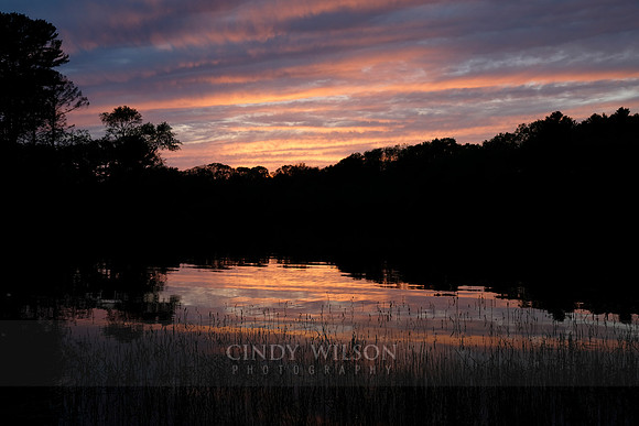 Sunset, Barber's Pond