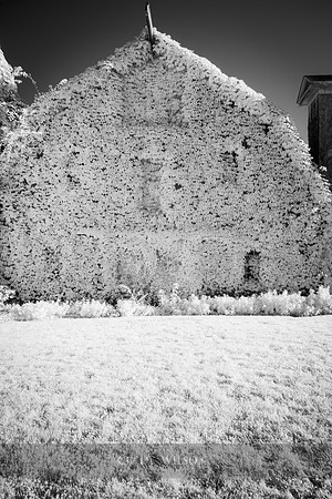 Barn Profile, Glen Farm