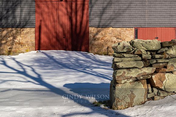 Barnyard Shadows