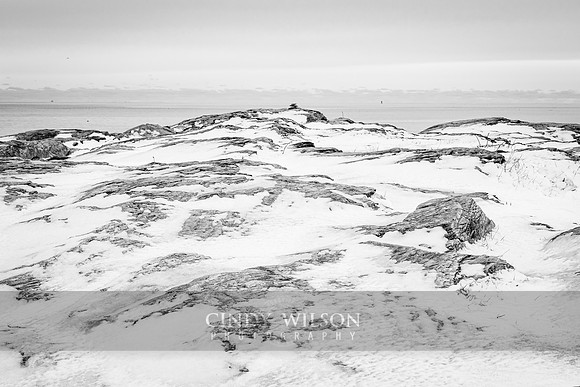 Snow Layers, Newport, RI