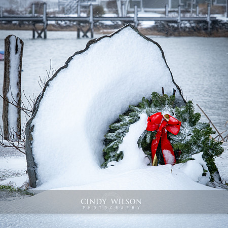 Holiday Blow