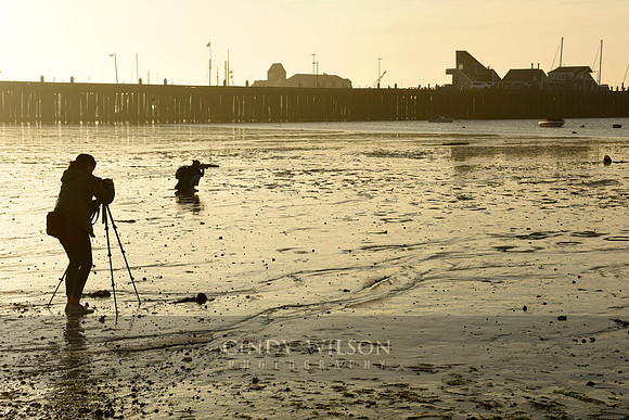 Early Morning Photo Shoot, Provincetown
