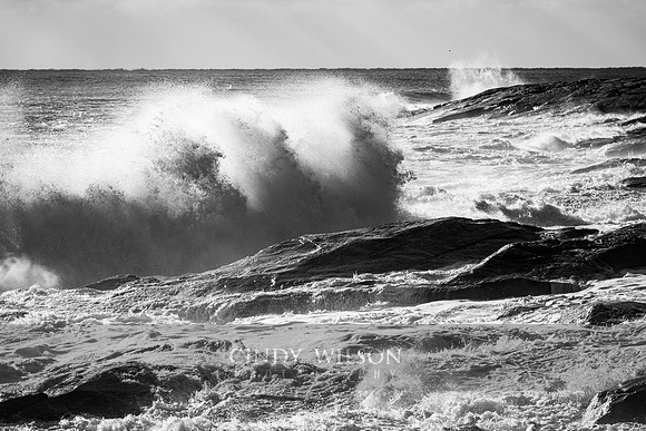 Wave Action, Bass Rock