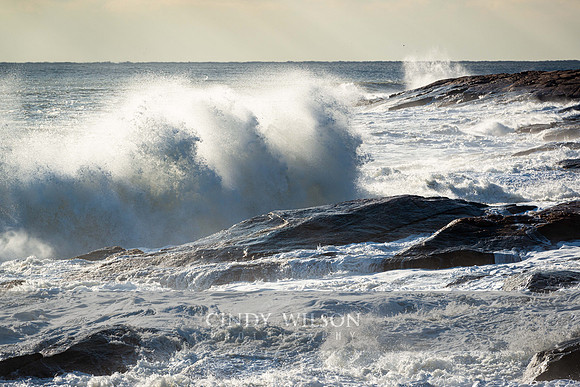 Wave Action, Bass Rock