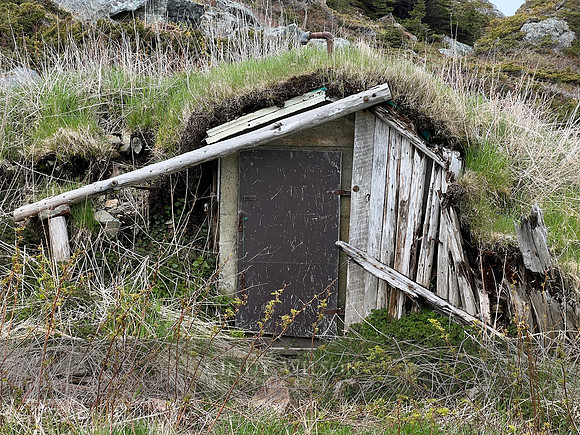 Root Cellar, Back Harbor, Twillingate