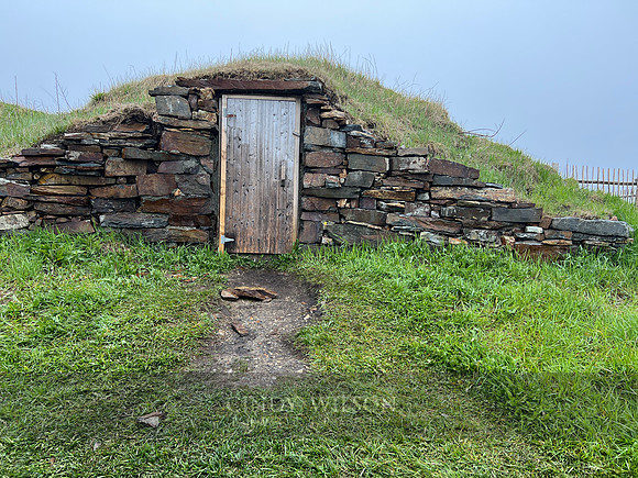 Root Cellar, Bonavista