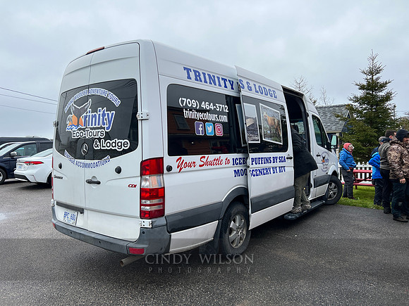Trinity Eco-Tours Van