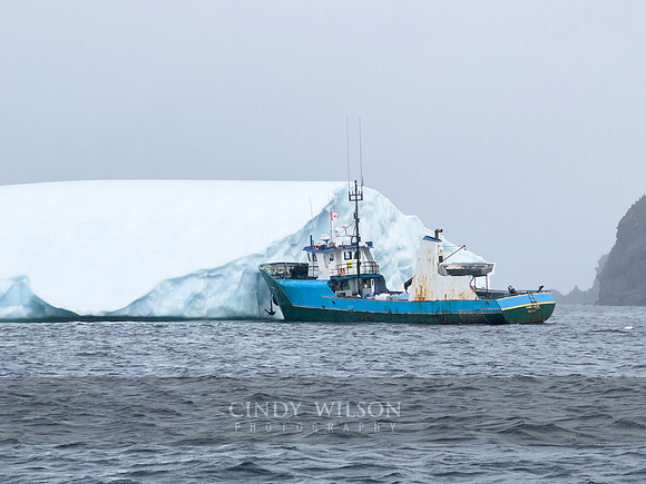 Harvesting Ice