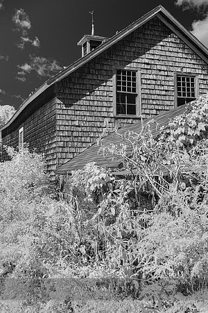 Barn textures, Saunderstown